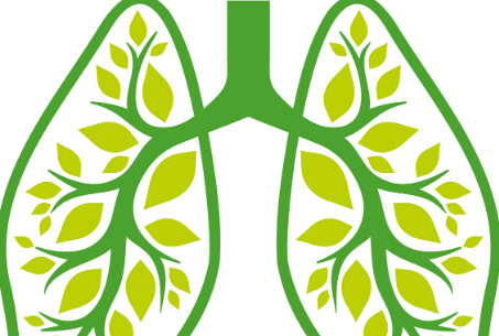 COPD-Plattform, Selbstmanagement-Coaching «Besser leben mit COPD!»