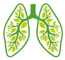 COPD-Plattform, COPD Selbstmanagement-Coaching